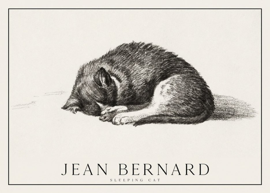 Jean Bernard Sleeping Cat III No1 - Poster