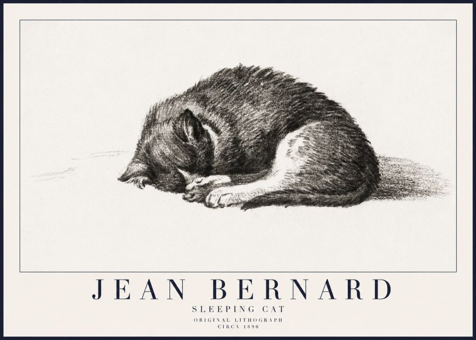 Jean Bernard Sleeping Cat III No6 - Poster