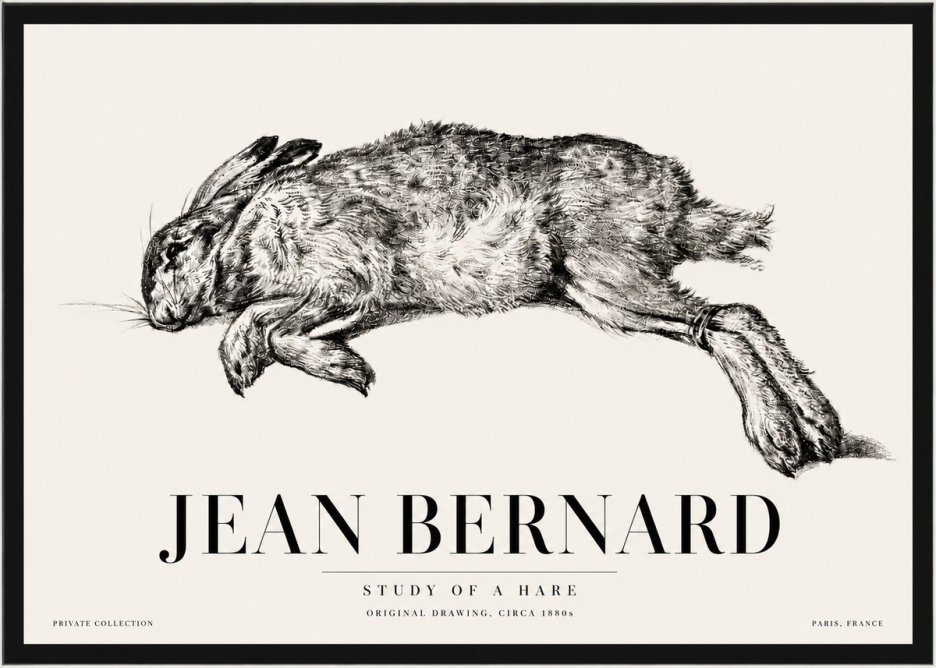 Jean Bernard Study of a Rabbit No5 - Poster