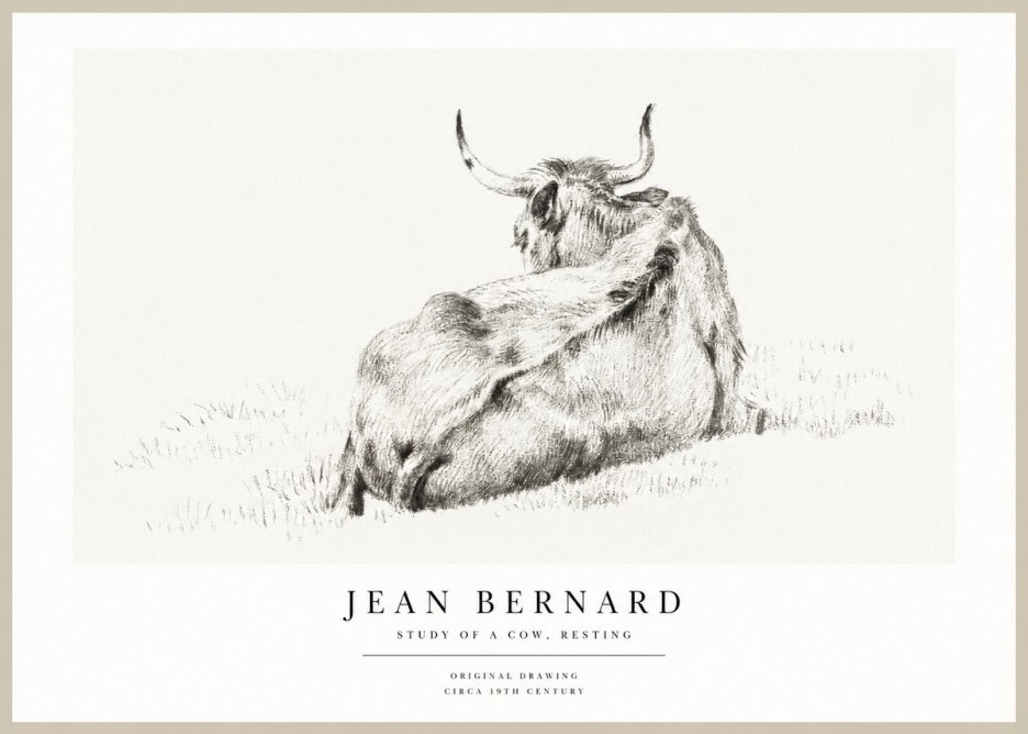 Jean Bernard Resting Bovine - Study in Graphite No2 - Poster