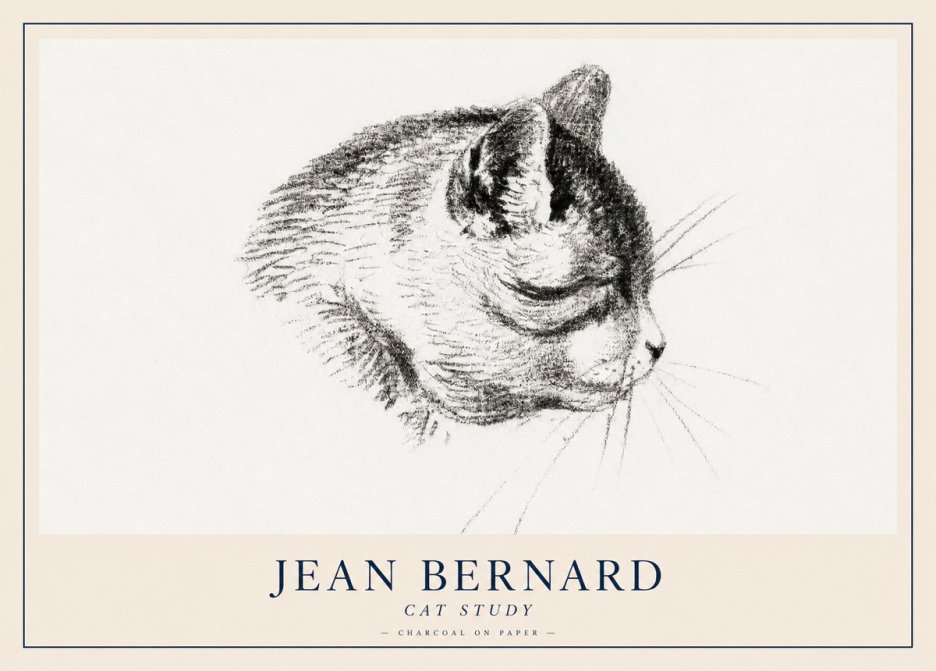 Jean Bernard Cat Study IV No2 - Poster