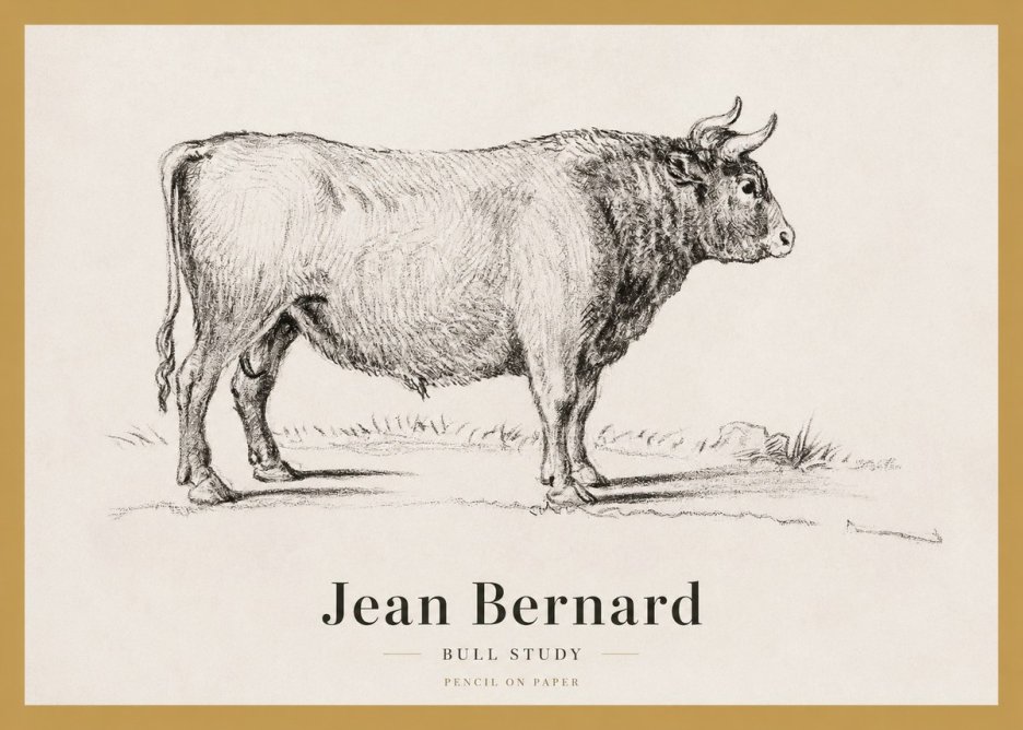Jean Bernard Study of a Bull I No4 - Poster
