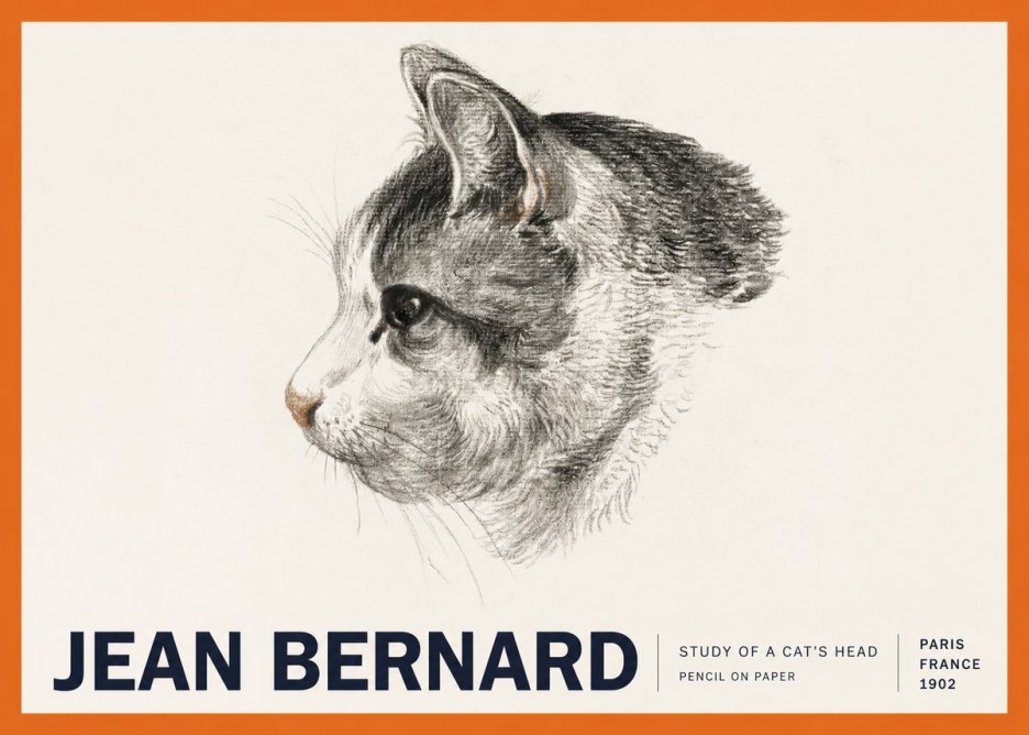 Jean Bernard Cat Study, Profile No6 - Poster