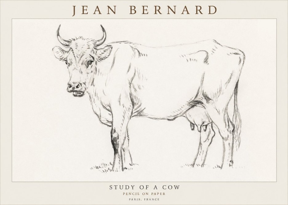 Jean Bernard Study of a Cow VI No3 - Poster