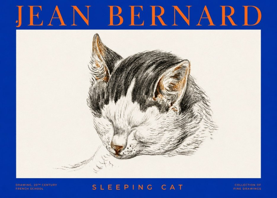 Jean Bernard Sleeping Cat V No2 - Poster