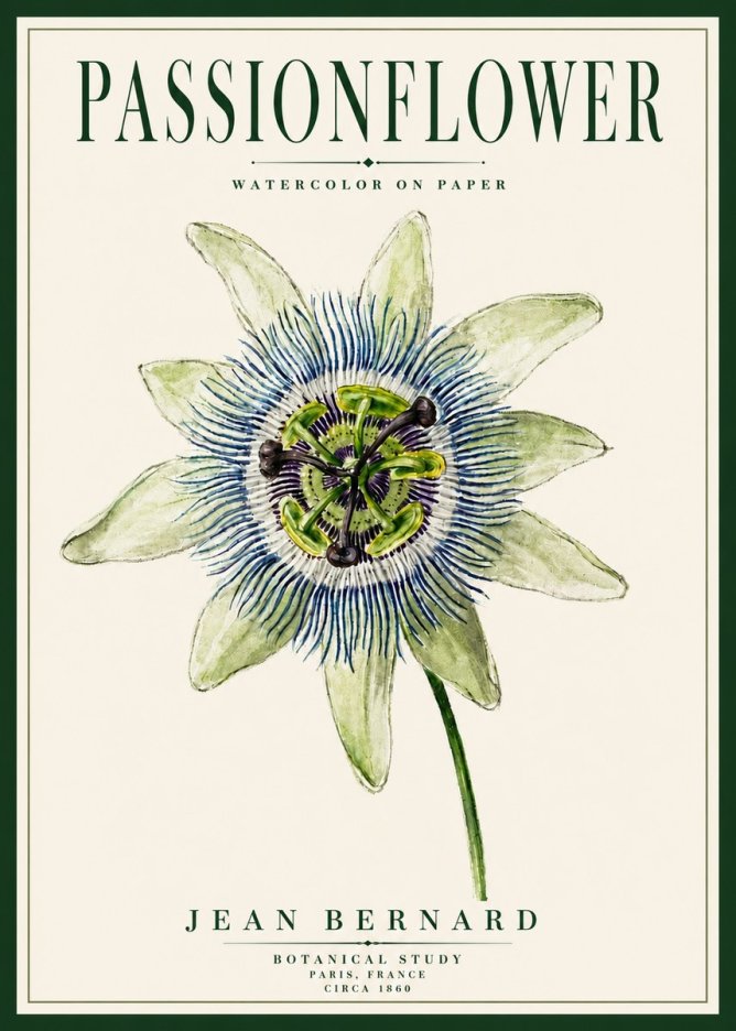 Jean Bernard Passionflower No5 - Poster