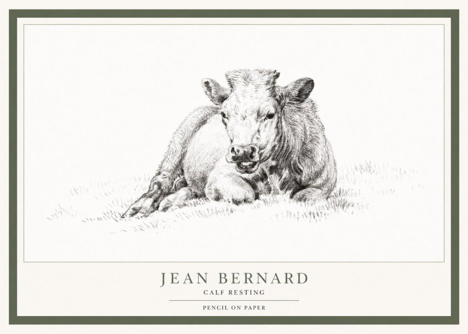 Jean Bernard Calf Resting No1 - Poster