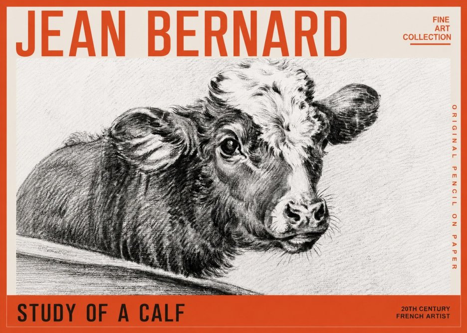 Jean Bernard Study of a Calf II No5 - Poster