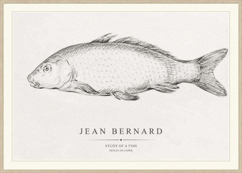 Jean Bernard Study of a Fish III No1 - Poster