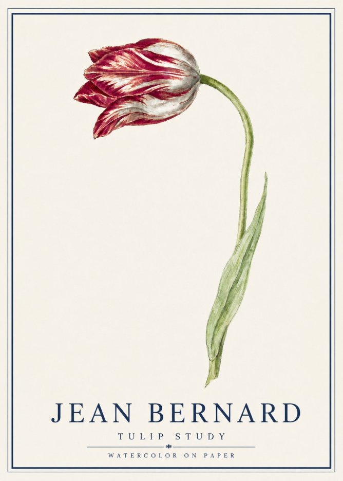 Jean Bernard Tulip Study No5 - Poster