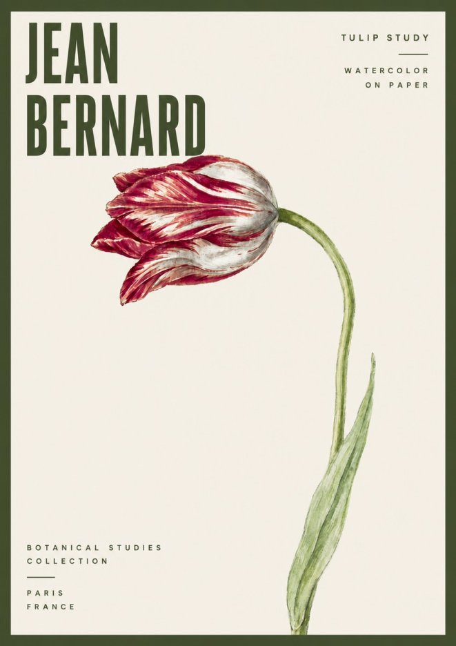 Jean Bernard Tulip Study No6 - Poster