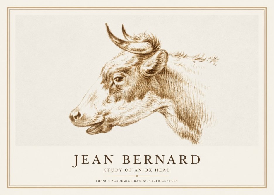 Jean Bernard Bovine Study II No3 - Poster