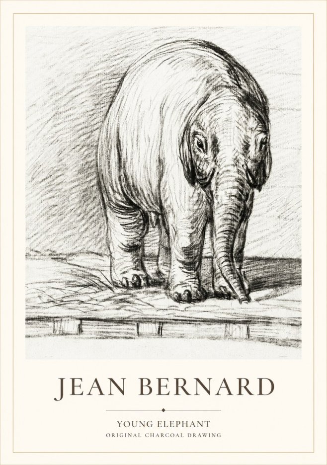 Jean Bernard Young Elephant No1 - Poster