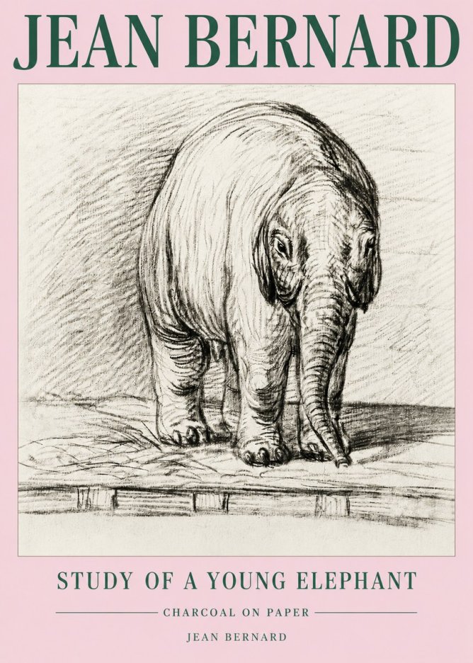 Jean Bernard Young Elephant No5 - Poster