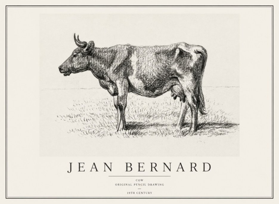 Jean Bernard Cow I No1 - Poster