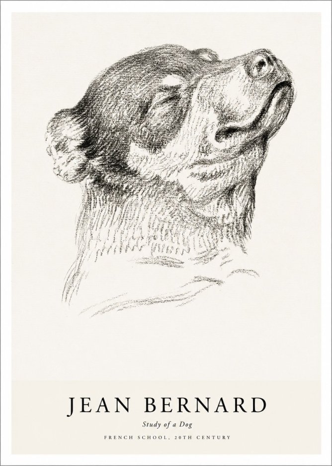 Jean Bernard Study of a Dog III No1 - Poster