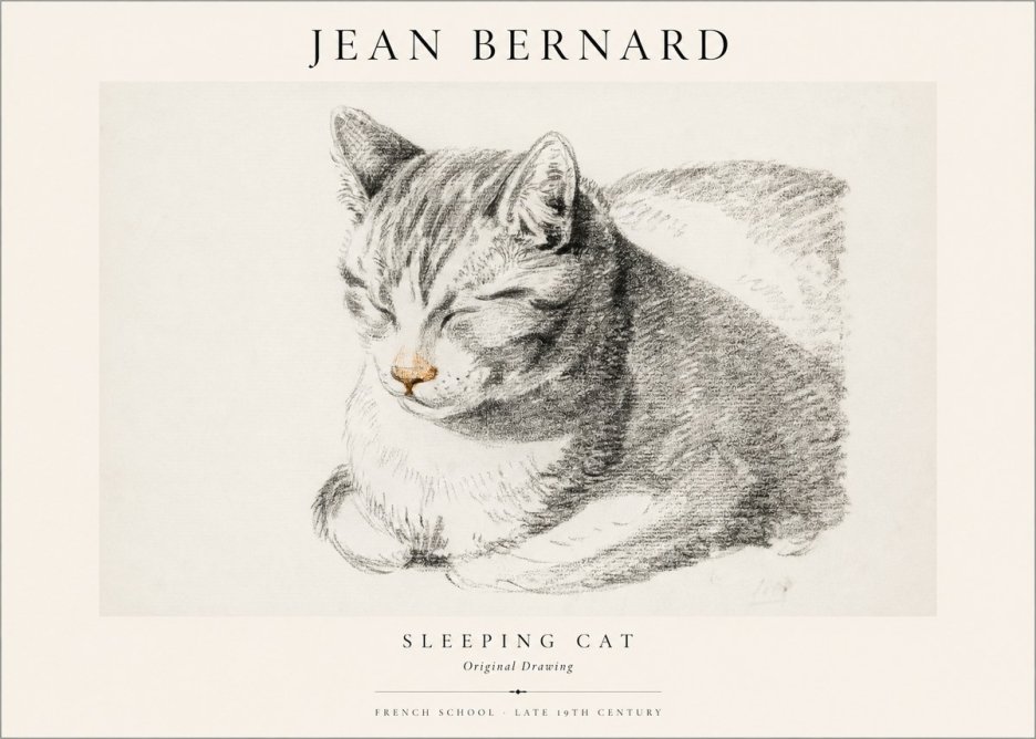 Jean Bernard Sleeping Cat VI No1 - Poster