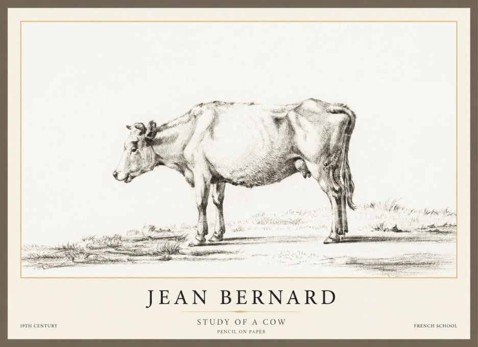 Jean Bernard Study of a Cow XI No1 - Poster