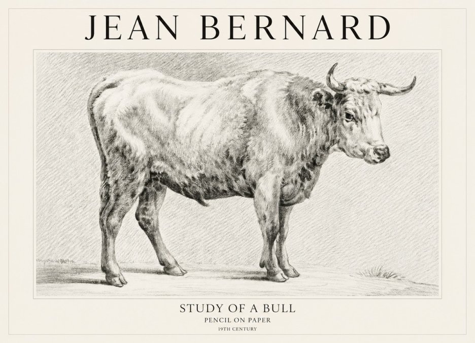 Jean Bernard Study of a Bull IV No1 - Poster