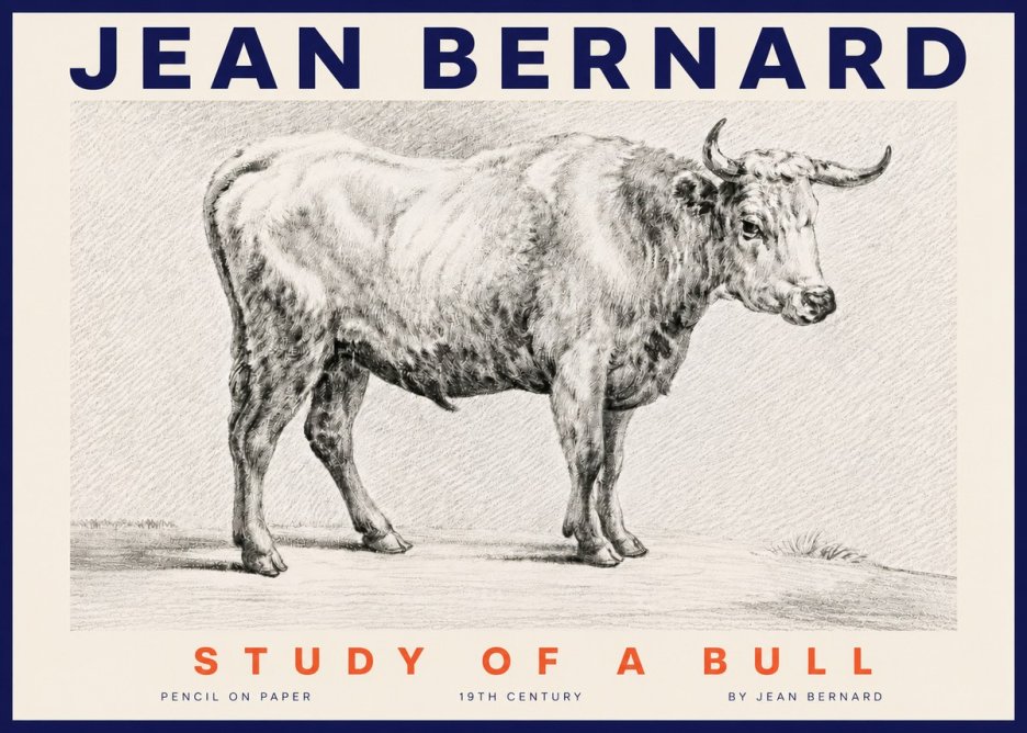 Jean Bernard Study of a Bull IV No4 - Poster