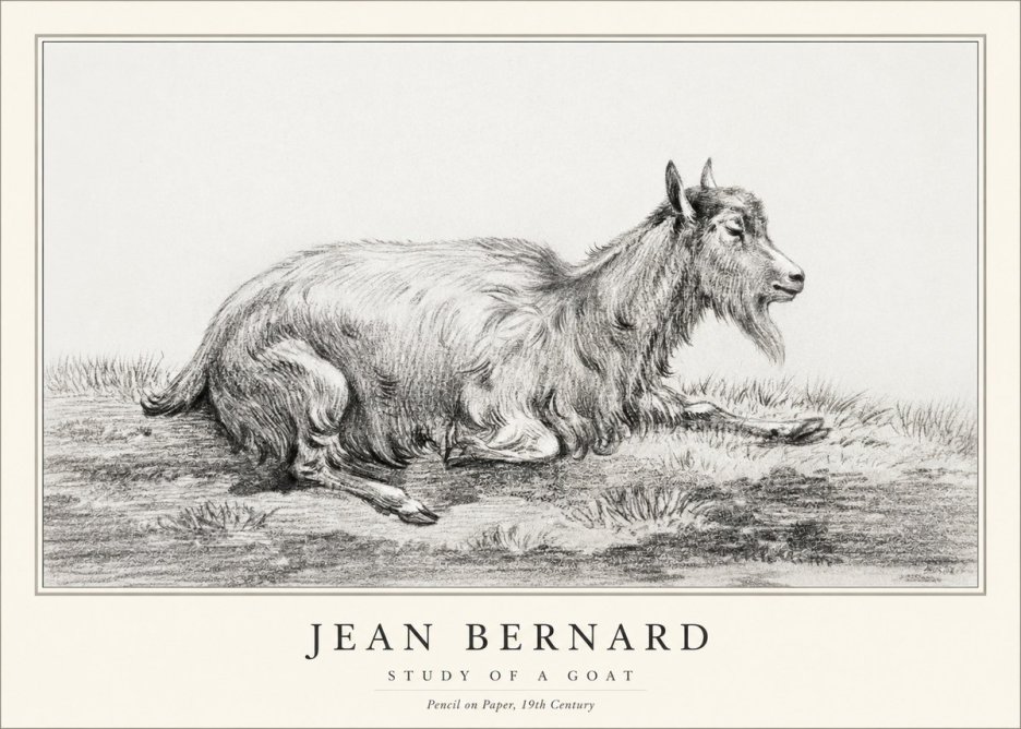 Jean Bernard Study of a Goat V No1 - Poster