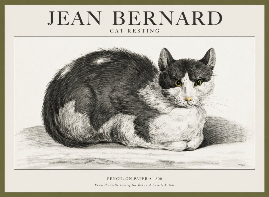 Jean Bernard Cat Resting No1 - Poster