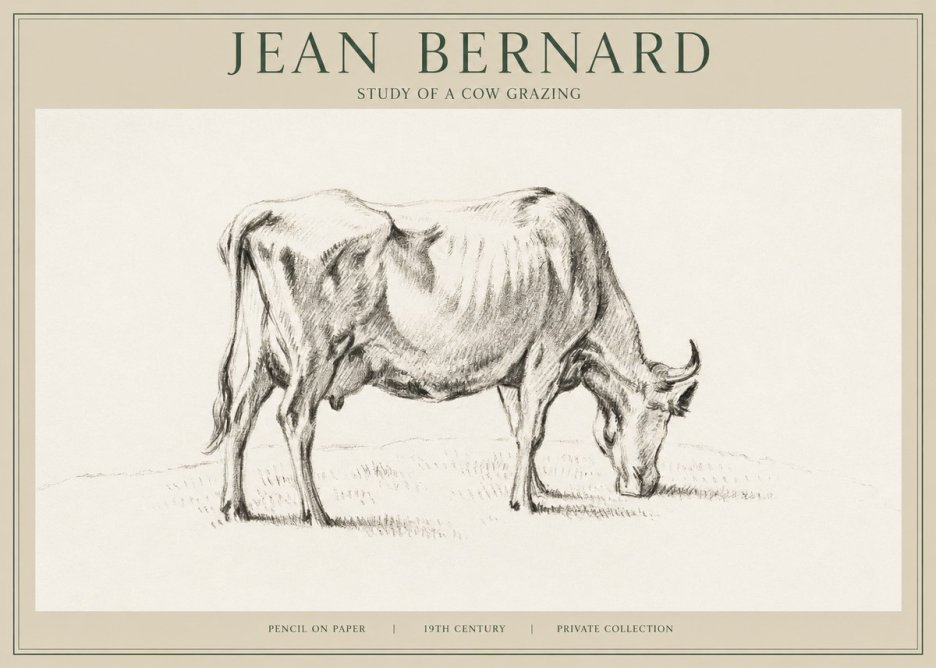 Jean Bernard Study of a Cow Grazing I No1 - Poster