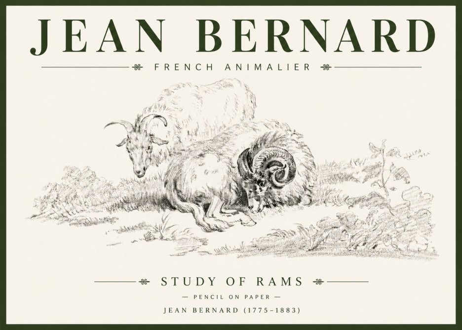 Jean Bernard Study of Sheep No6 - Poster