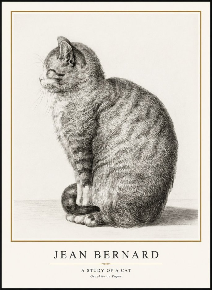 Jean Bernard Cat in Profile No3 - Poster