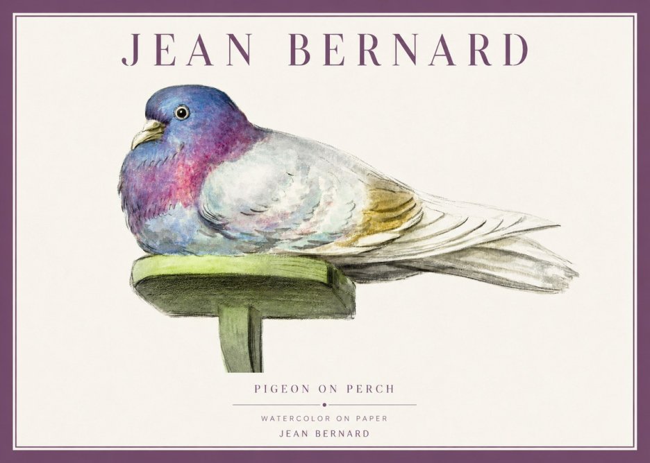 Jean Bernard Pigeon on Perch No1 - Poster