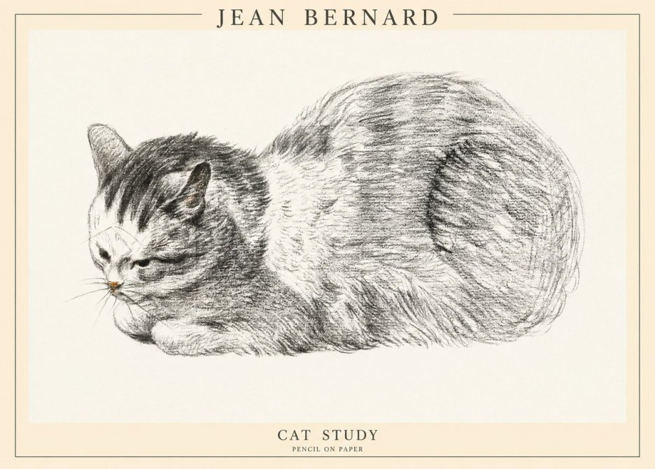 Jean Bernard Cat Study X No1 - Poster