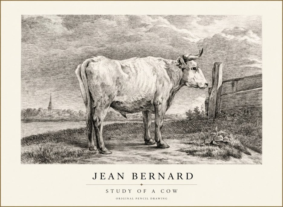 Jean Bernard Study of a Cow XV No1 - Poster