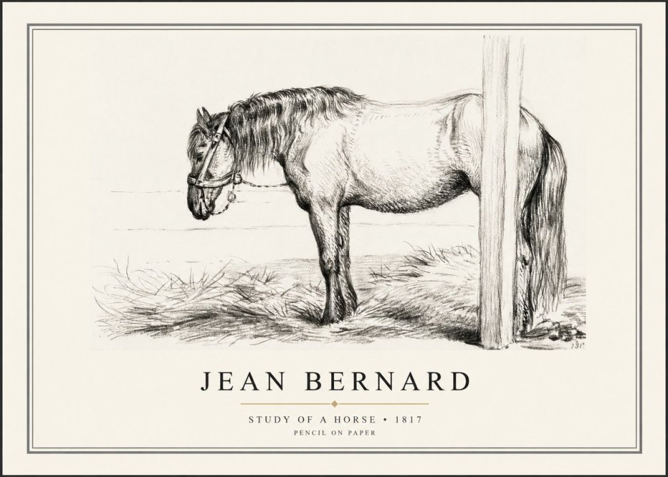 Jean Bernard Study of a Horse XII No1 - Poster