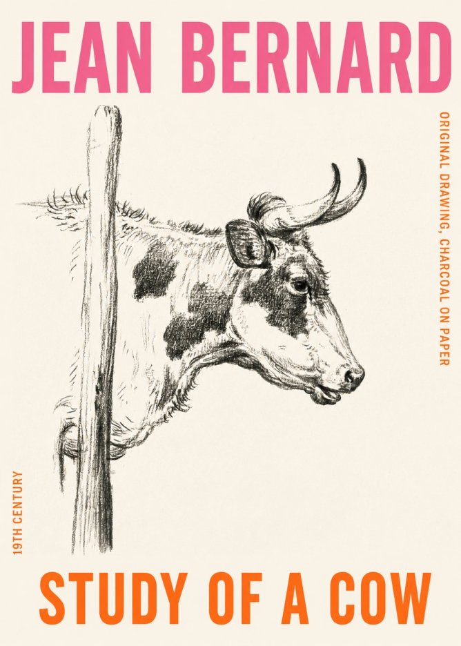 Jean Bernard Study of a Cow XVII No4 - Poster