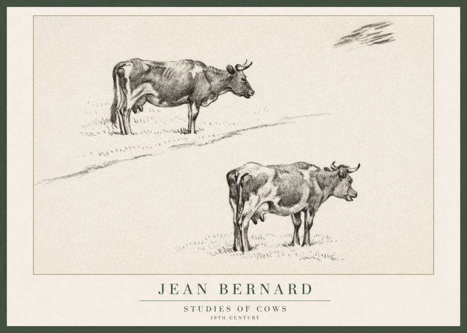 Jean Bernard Studies of Cows III No1 - Poster