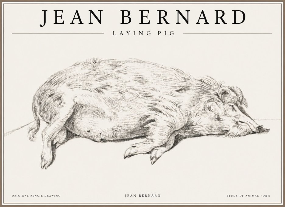 Jean Bernard Laying Pig No1 - Poster