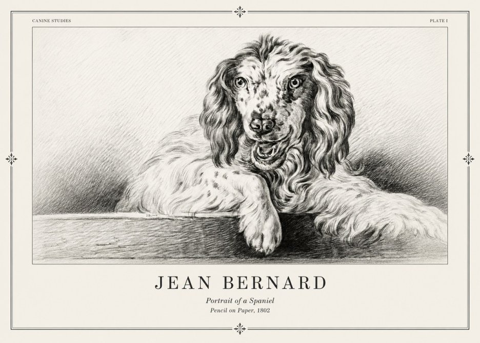 Jean Bernard Portrait of a Spaniel No2 - Poster