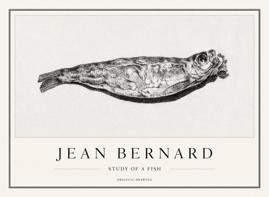 Jean Bernard Study of a Fish V No1 - Poster