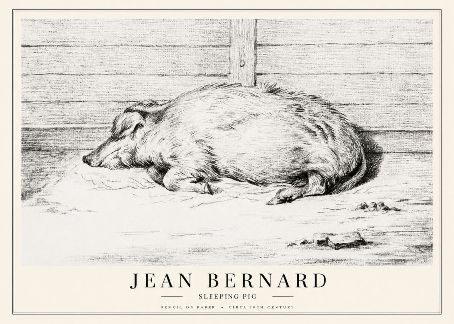 Jean Bernard Sleeping Pig I No1 - Poster