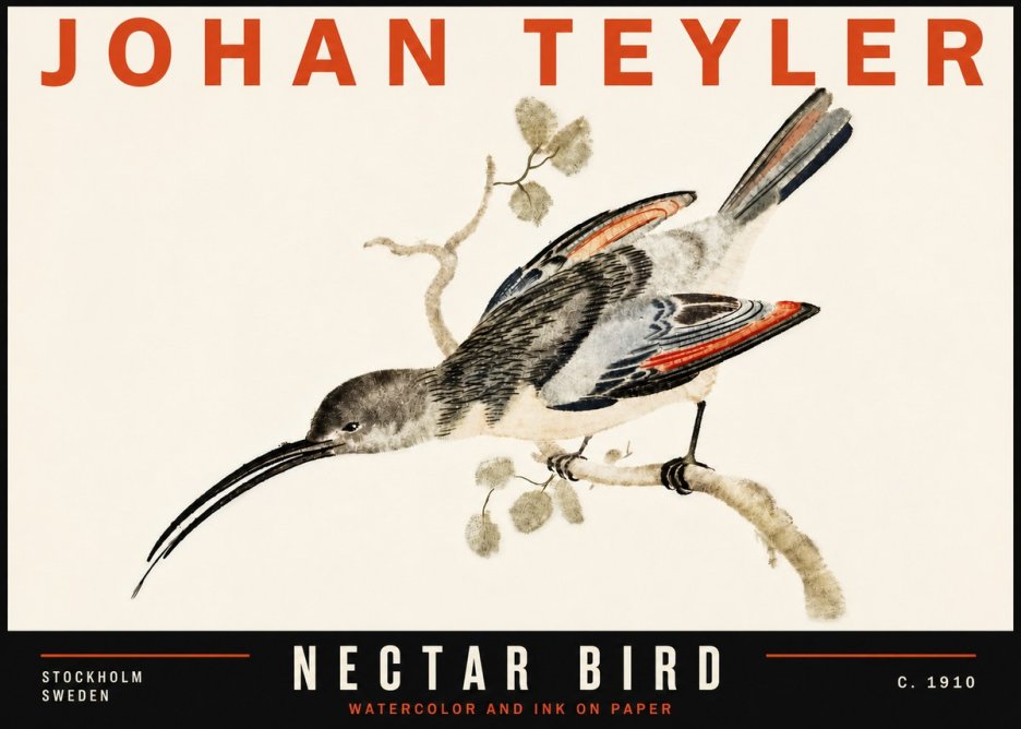 Johan Teyler Nectar Bird No6 - Poster