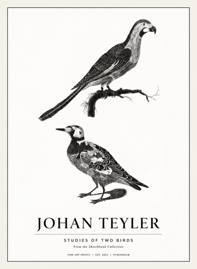 Johan Teyler Birds - Study of Two Species No3 - Poster