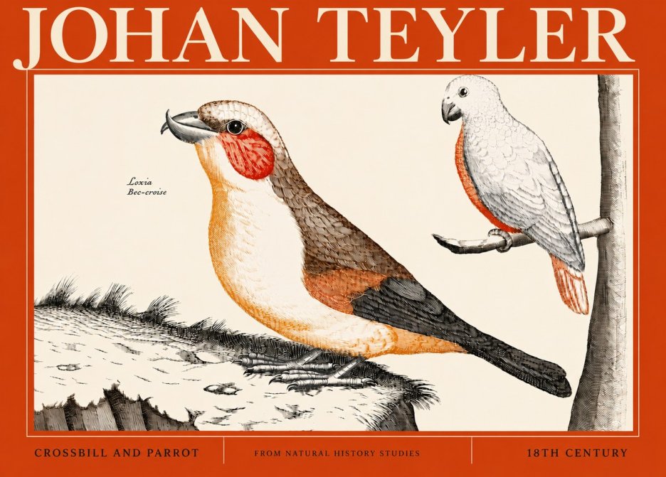 Johan Teyler Crossbill and Parrot No4 - Poster