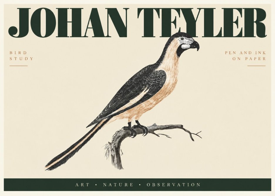 Johan Teyler Bird Study I No2 - Poster