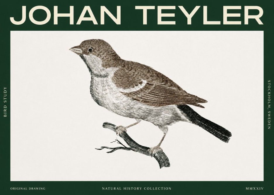 Johan Teyler Bird Study II No2 - Poster