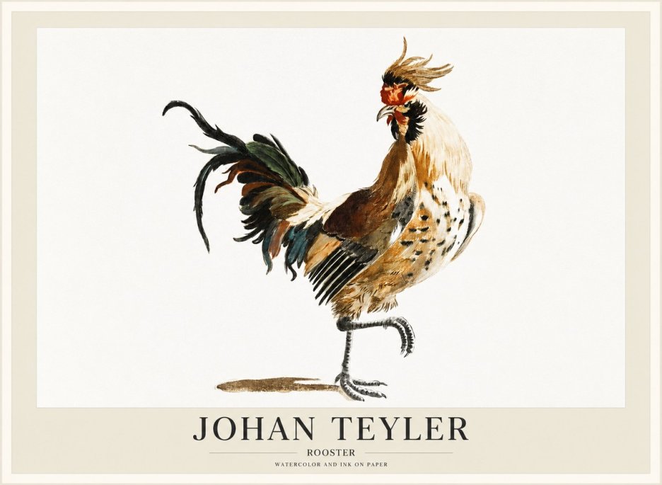 Johan Teyler Rooster No1 - Poster