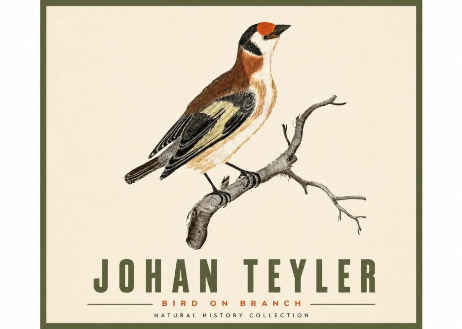 Johan Teyler Song of the Finch No5 - Poster