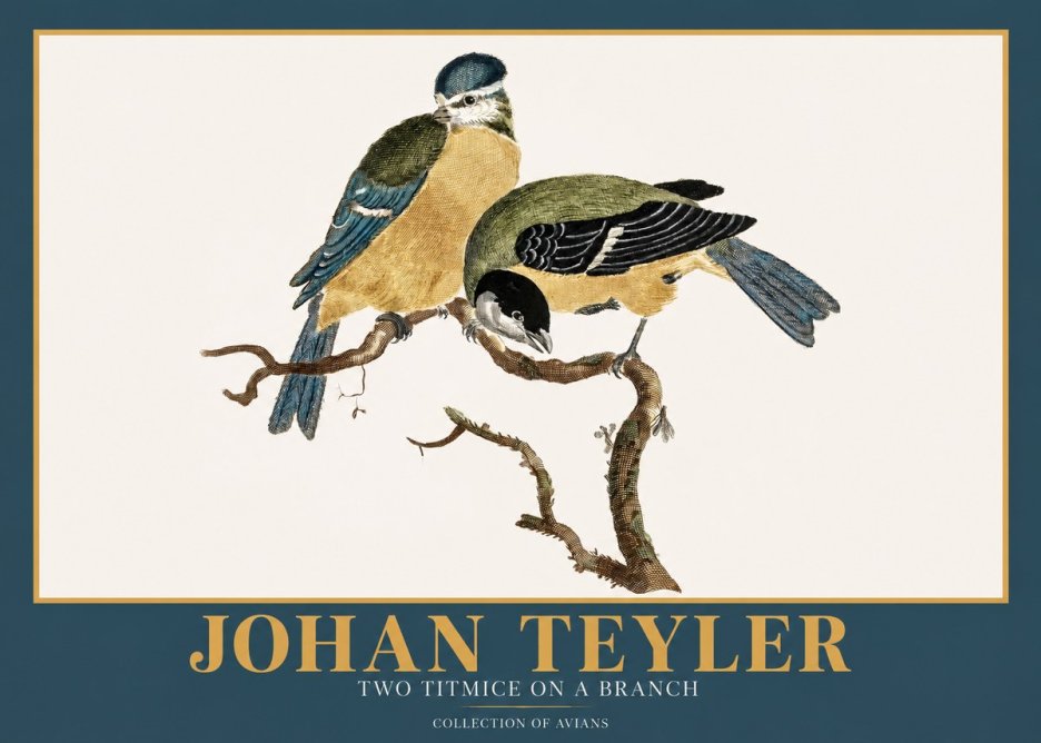 Johan Teyler Two Titmice on a Branch No2 - Poster