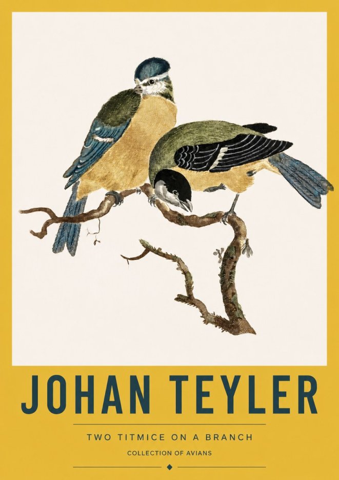 Johan Teyler Two Titmice on a Branch No3 - Poster