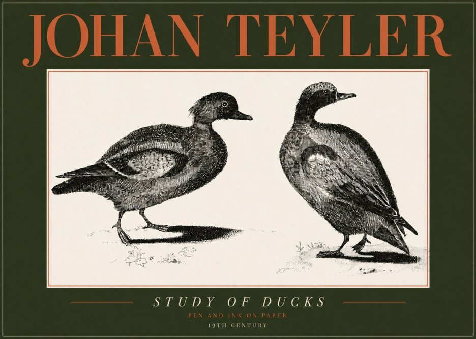 Johan Teyler Study of Ducks No4 - Poster