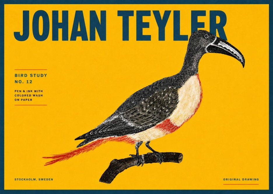Johan Teyler Bird Study No. 12 - Original Drawing No4 - Poster